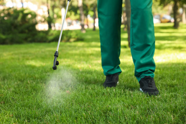 Professional Pest Control in Pikesville, MD
